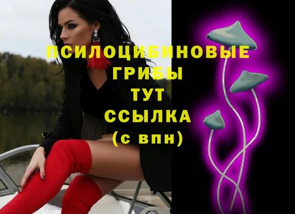 apvp Алзамай