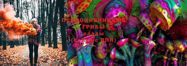 винт Алексеевка