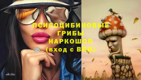 не бодяженный Алексин