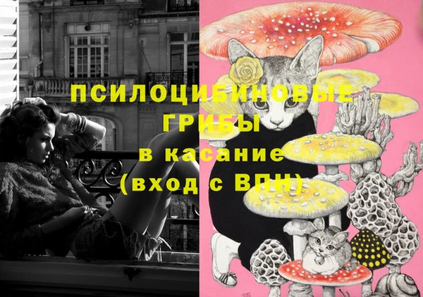 не бодяженный Алексин