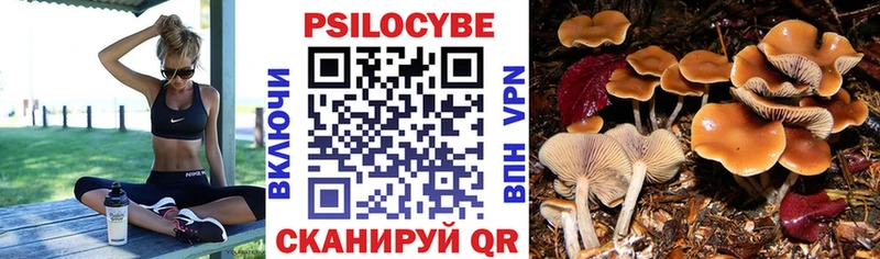 Псилоцибиновые грибы MAGIC MUSHROOMS  Каменногорск 