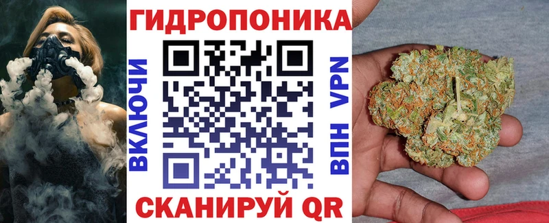 даркнет какой сайт  Каменногорск  Шишки марихуана VHQ 